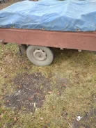 ���. �/�: 500���., �����: 550���. ����