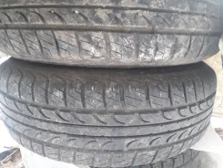 Tunga Road. ������, 2022 ���, ����� ����