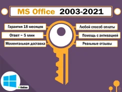 Microsoft Office 2003. ����