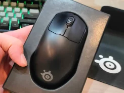 ���� ������������. ����