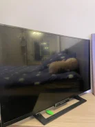 Sony KDL-32W503. LCD (��) ����