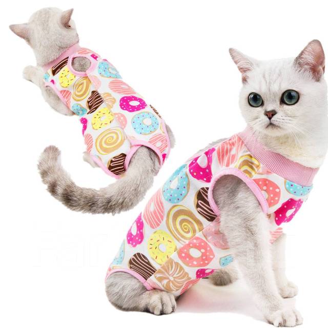 Изображения по запросу Одежда кошек