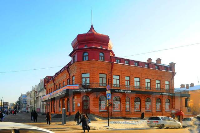 Фото муравьева амурского хабаровск