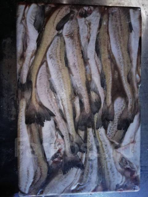 Минтай ПБГ - Рыба и морепродукты в Хабаровске