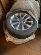 Tigar Ice. ������, ��� �����, 2018 ���, �/�, ����� 30 % ����