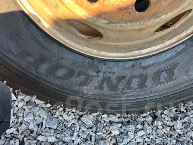 Dunlop SP 090. ������, ��� �����, 2016 ���, �/�, ����� 5 % ����