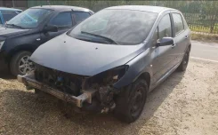Peugeot 307. NFU10 ����
