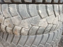 TyRex. ����� mt, 2019 ���, �/�, ����� 20 % ����