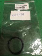     WHT001688 