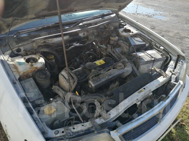 Nissan Bluebird. �������, ��������, 0.1 (67��.�.), ������ ����