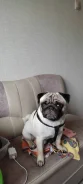 ����. ����