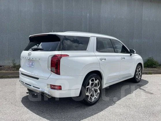 Hyundai Palisade. ��������, 4wd, ������, 12 040����. ��. ��� ����� �� ����-���������� ����
