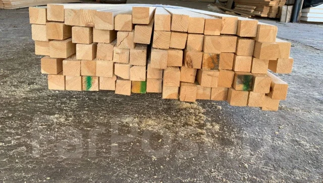 �����. ��� ����� �� ������ ����