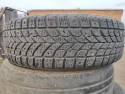 Bridgestone Winter Radial WT-17. ������, ����������, �/�, ����� 50 % ����