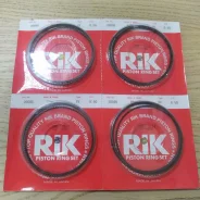 ������ ��������� 4b12 050 RIK 20095050 ����