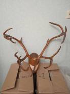 ���� ����� � ���������� �� ����� ����