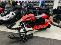 Irbis Dingo T200. ��������, ���� ���, ��� ������� ����