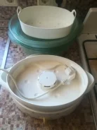 ���������. ����