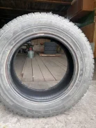 Nokian NRC. ������, 2020 ���, �/�, ����� 5 % ����