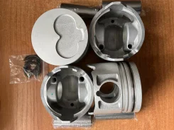 ������ Isuzu Bighorn 4JG2-T Alfin + OIL Gallery 8971766240 ����