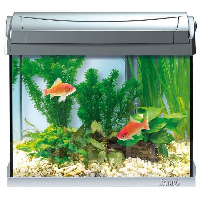 Tetra AquaArt Shrimps Discover Line аквариумный комплекс 20 л, в ...