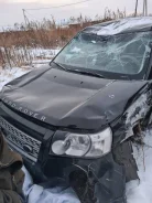 Land Rover Freelander. SALFA24A49N133874, 863245 02070821390 ����