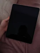Apple iPad Pro. 12.9 ������ ����