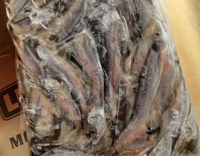 Мойва (семейства корюшковых) - Рыба и морепродукты в Хабаровске