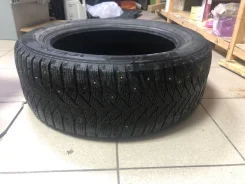 Triangle PS01. ������, ����������, �/�, ����� 40�% ����