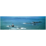 ������ ������ �����-���� ���������� "Ile de Hoedic-Les Cardinaux" ������� �������� Art Boat/OE 339.01.434�� 33�95�� � ���������� ����� � �������� ����