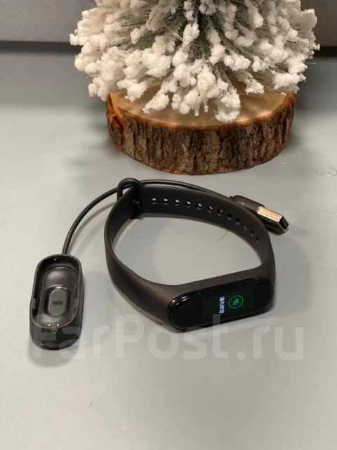 Xiaomi Mi Band 4 ����
