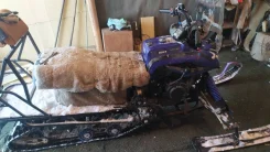 Irbis Dingo T150. ��������, ���� ���, � �������� ����