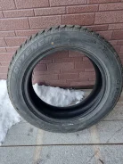 Foman Frozenero. ������, ��� �����, 2021 ���, �/�, ����� �� 5 % ����