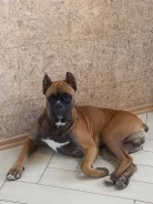 ������. ����
