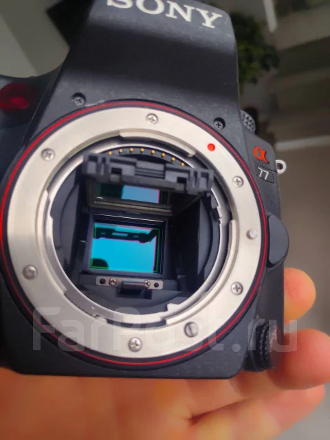 Sony Alpha SLT-A77. 20 � ����� ��, ���: ��� ���� ����