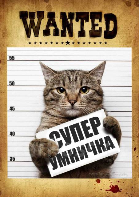 Менеджер по работе с клиентами график 3/3 в Угловом и, работа в ООО МКК ...