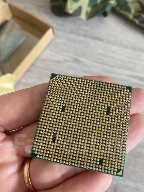 AMD Sempron ����