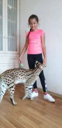 ������. ����