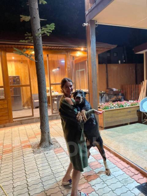 Гостиница для животных во Владивостоке