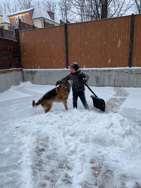 Гостиница для животных во Владивостоке