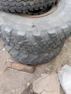 ProDrive. 12.5x24", 10x335, ET-26, �� 84,0���. ����