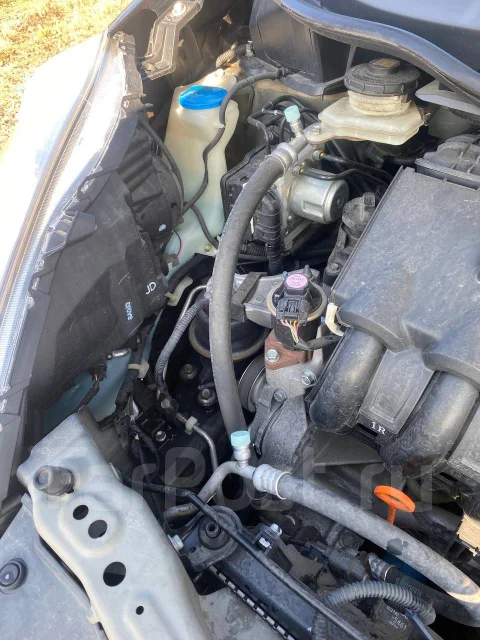 Honda Fit Shuttle. ��������, ��������, 1.3 (88��.�.), ������, 136 000����. ��, �/� ����
