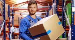 �������-�������. ��� "����������". ����� ����� 23 ����