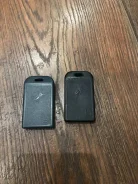 Black Bug ����