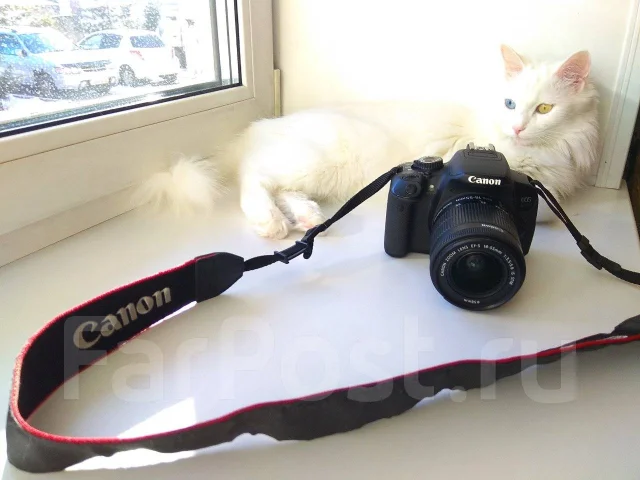 Canon EOS 650D Kit. 15 - 19.9 ��, ���: 3� ����