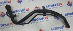    Toyota Ipsum Gaia Nadia 77201-44020 77201-44020 