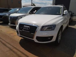 Audi Q5. 8R, CDNC ����