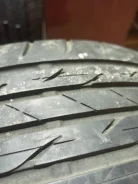 Bridgestone Sneaker Ecopia. ������, 2019 ���, �/�, ����� 10 % ����