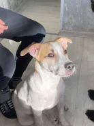 ������������ �������������. ����