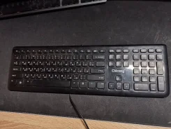 ����������. ����